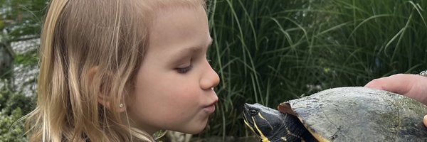 DaneKoch Profile Banner