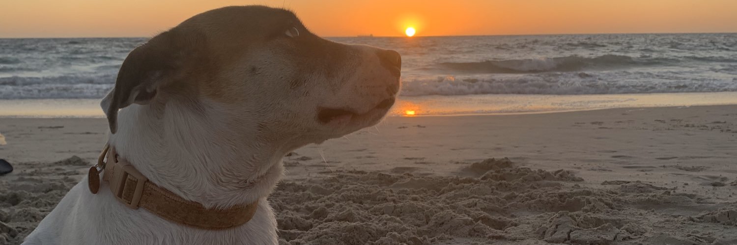 rosscoryandersn's profile banner image