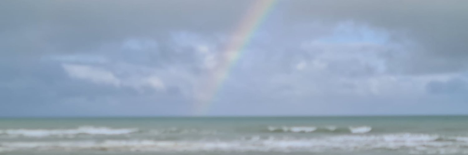 Monique banner