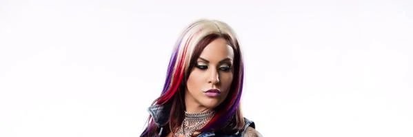 Vixen banner