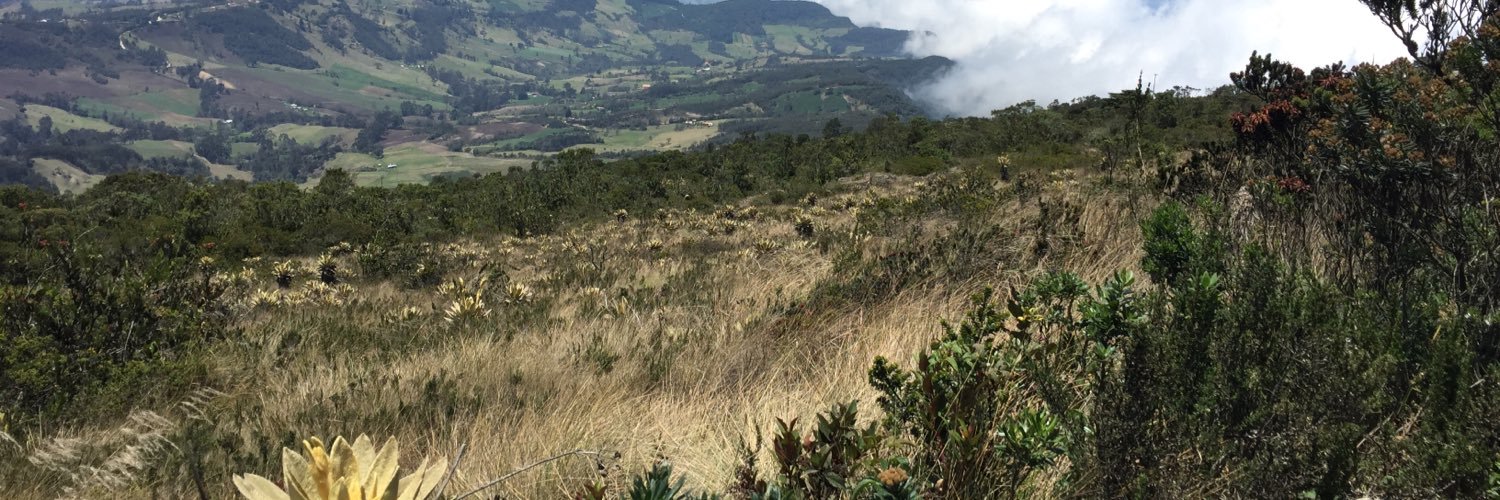 PabloLaverde1's profile banner image