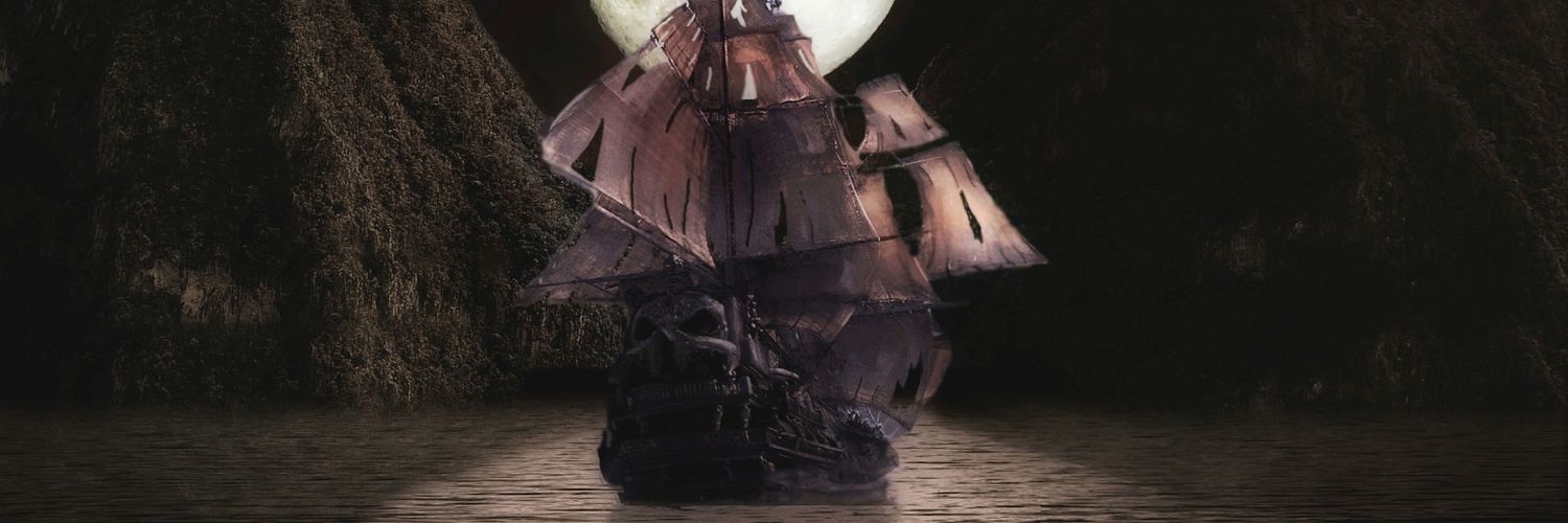 Renedejonge's profile banner image