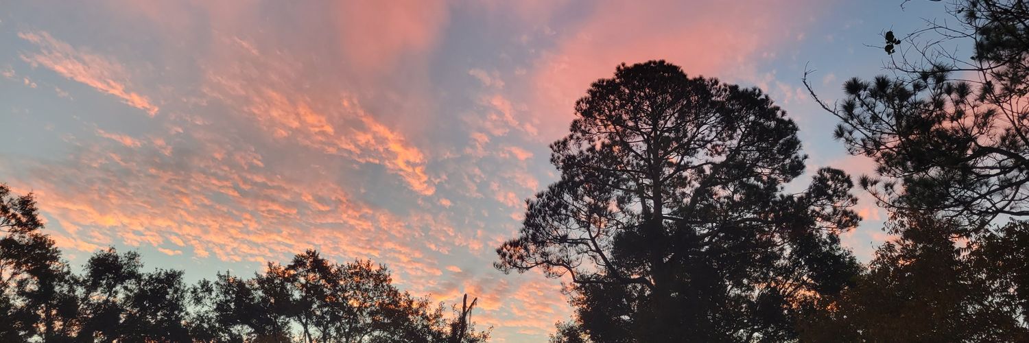 LACMcKinney's profile banner image