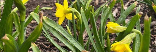georgetowndc Profile Banner