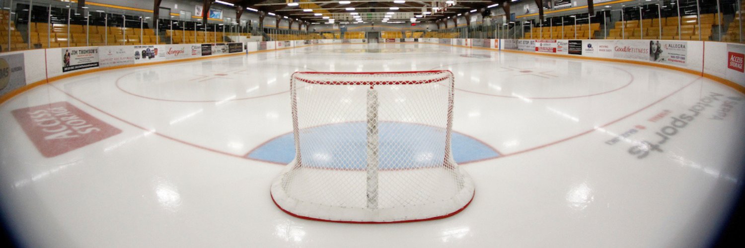 Serpa Automotive Aurora Tigers banner