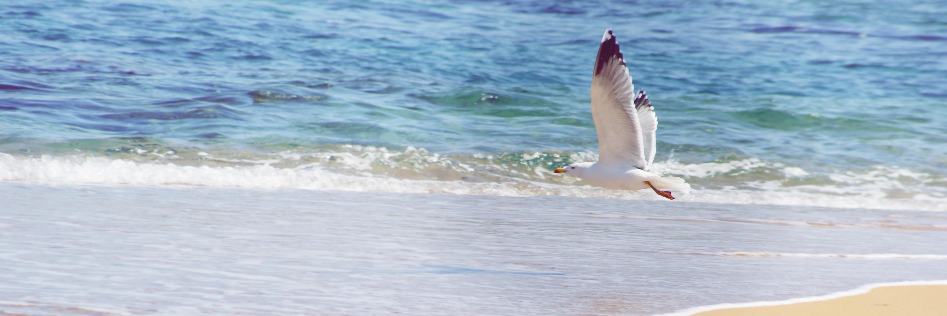 dunia_go_se's profile banner image