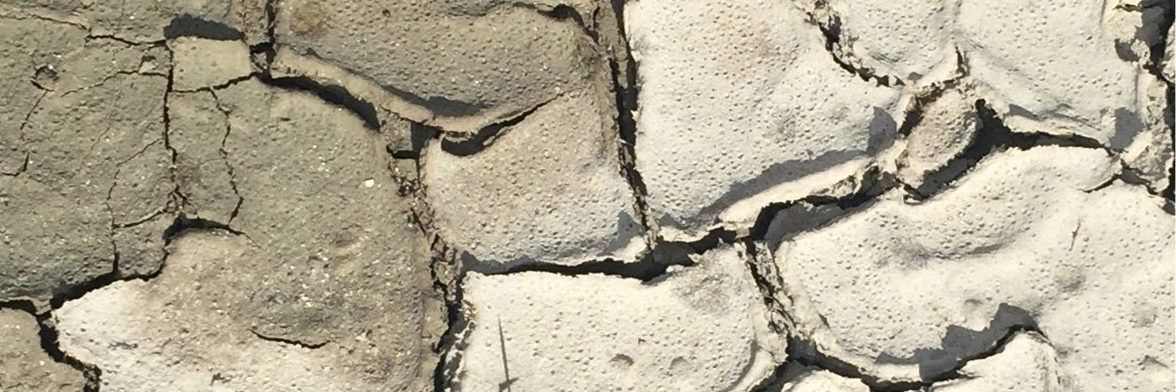 sylderray's profile banner image