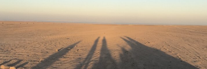 Meriel Rhodes 🌎 banner