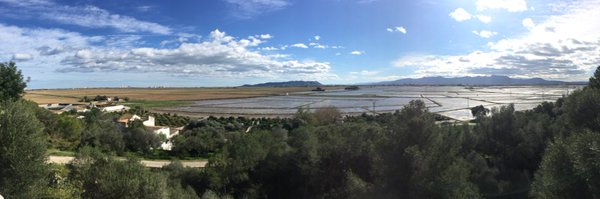 oscarclaver Profile Banner