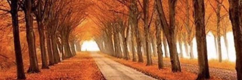 Xio86's profile banner image