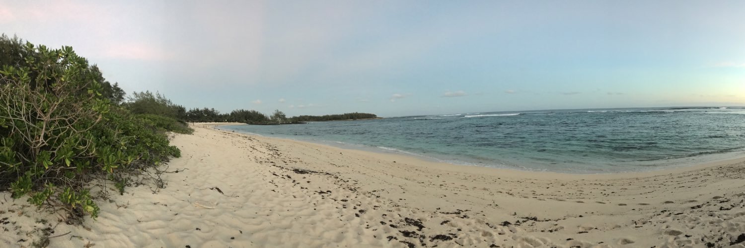 Tθ$Δ 🇫🇷🇲🇺🇵🇸🇷🇺 banner