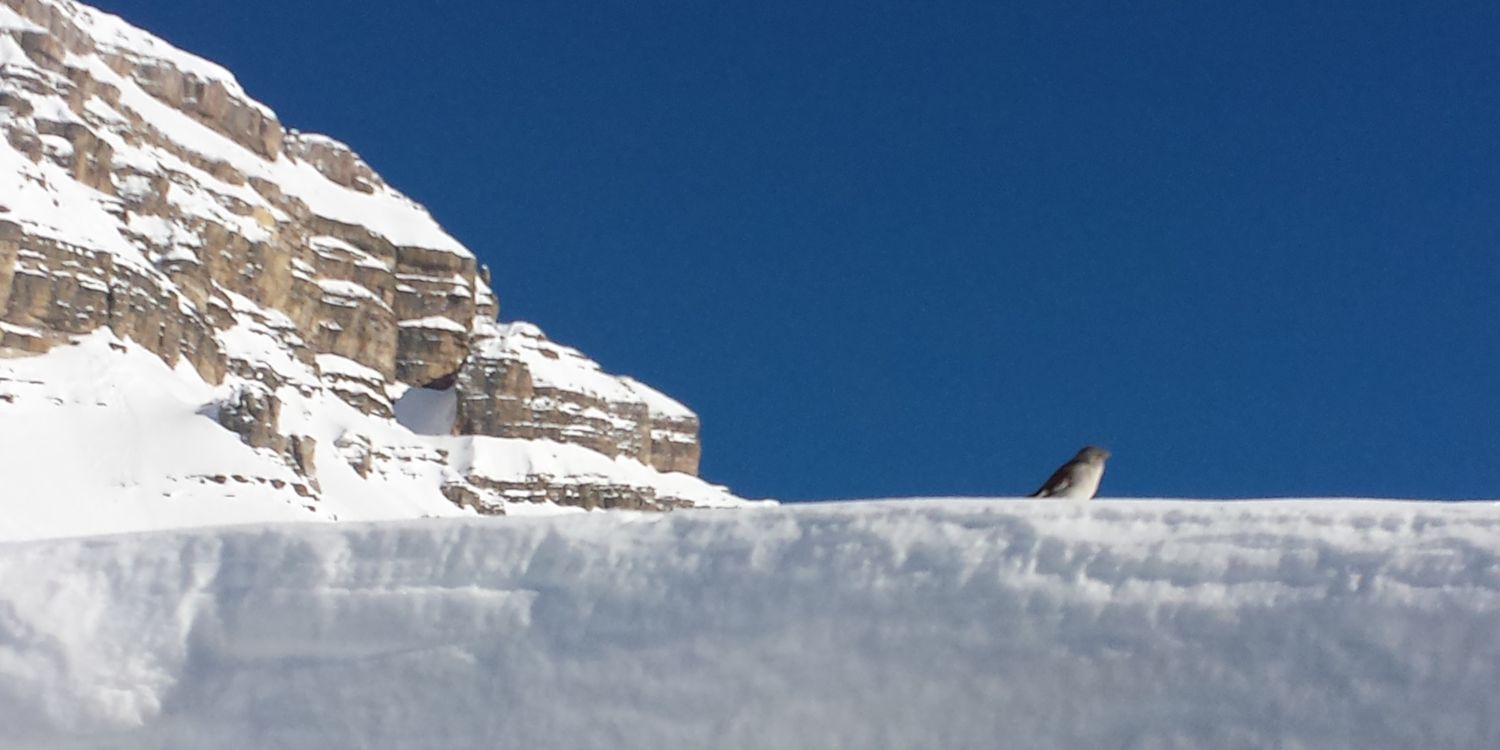 marinocolombo's profile banner image