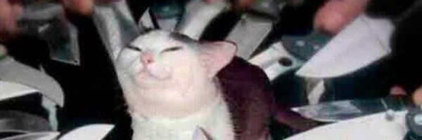 FraggleFritz Profile Banner