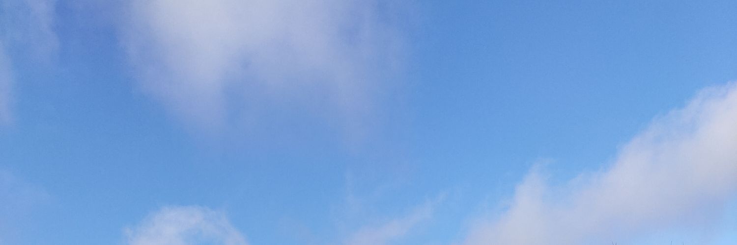 jujufablala's profile banner image