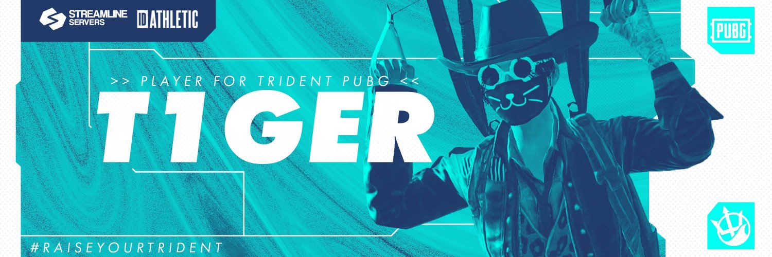T1GER banner
