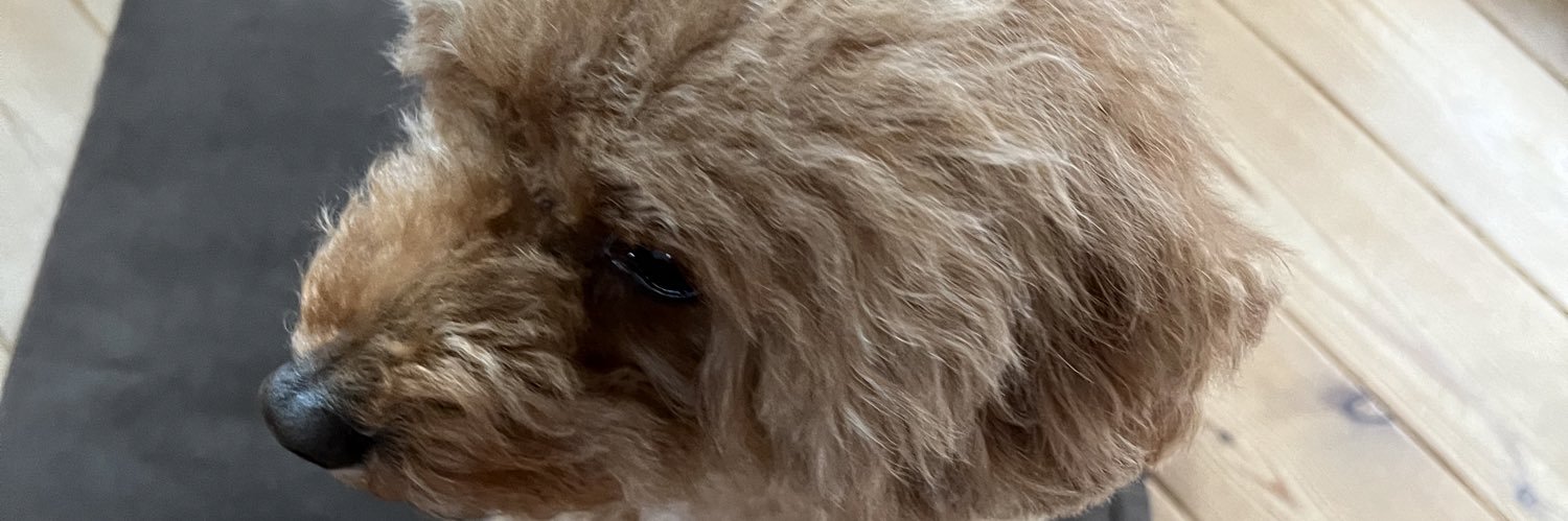 taisuke1449's profile banner image