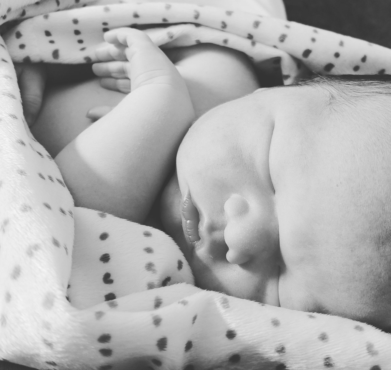 Christopher Hansen banner