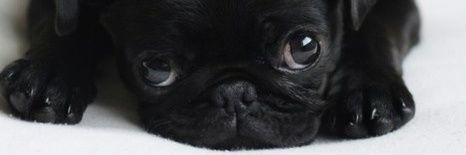 BraaadMasters's profile banner image