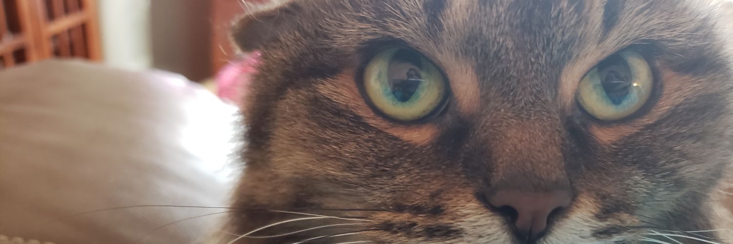 msowers127's profile banner image