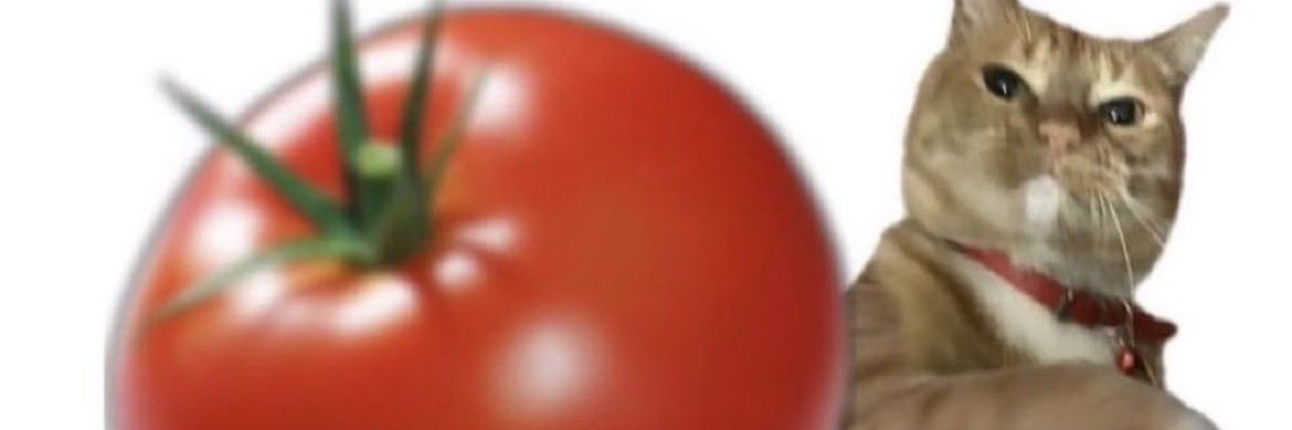 apen4sgui's profile banner image