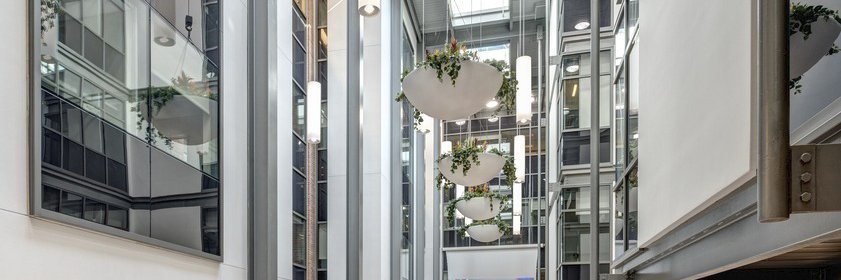 American National Election Studies (ANES) banner