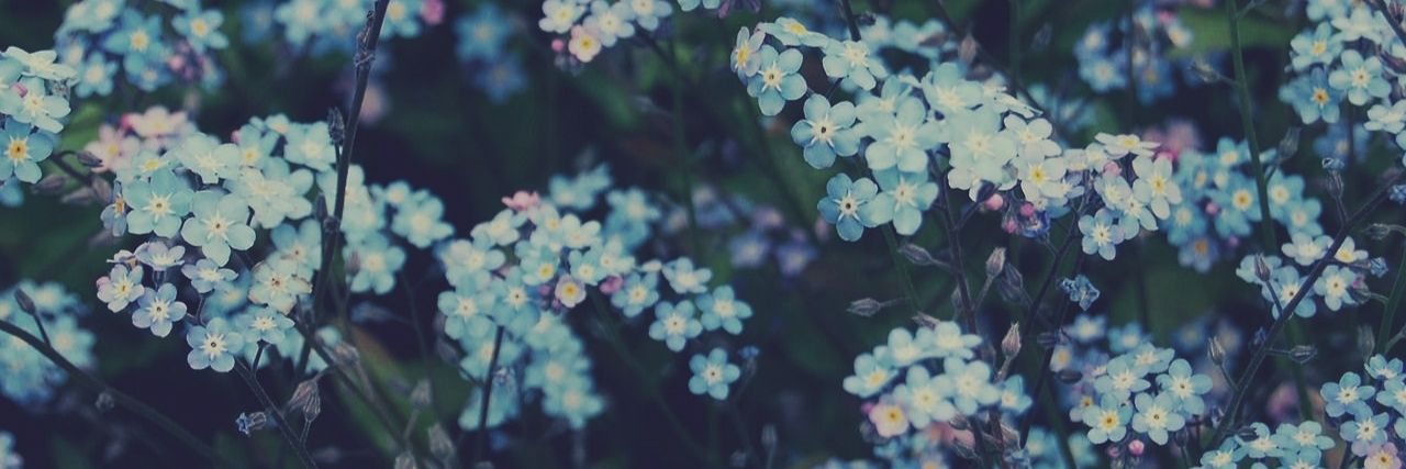 huhsya's profile banner image