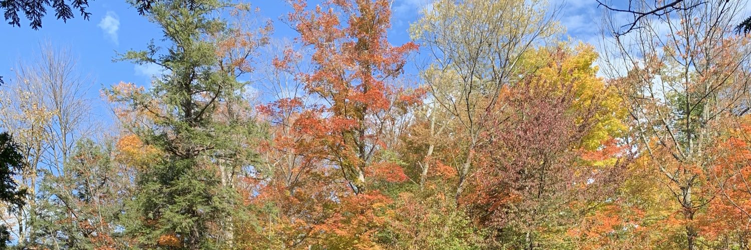 walshcath's profile banner image