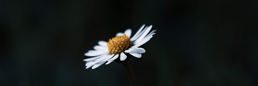 yemipworld's profile banner image