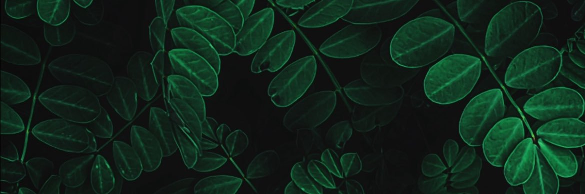 CatGRog's profile banner image