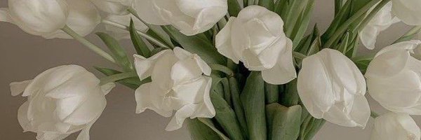 breeNaughtyy Profile Banner