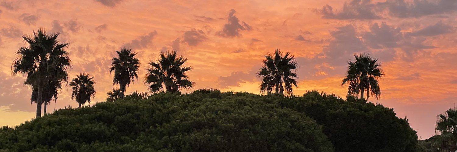 Alain Schepers banner