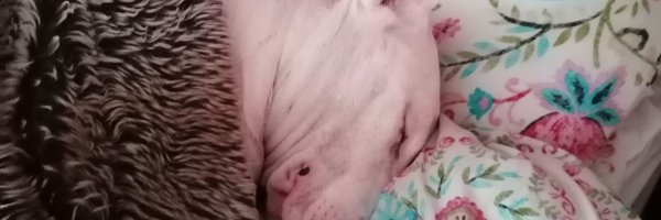 jude6501 Profile Banner