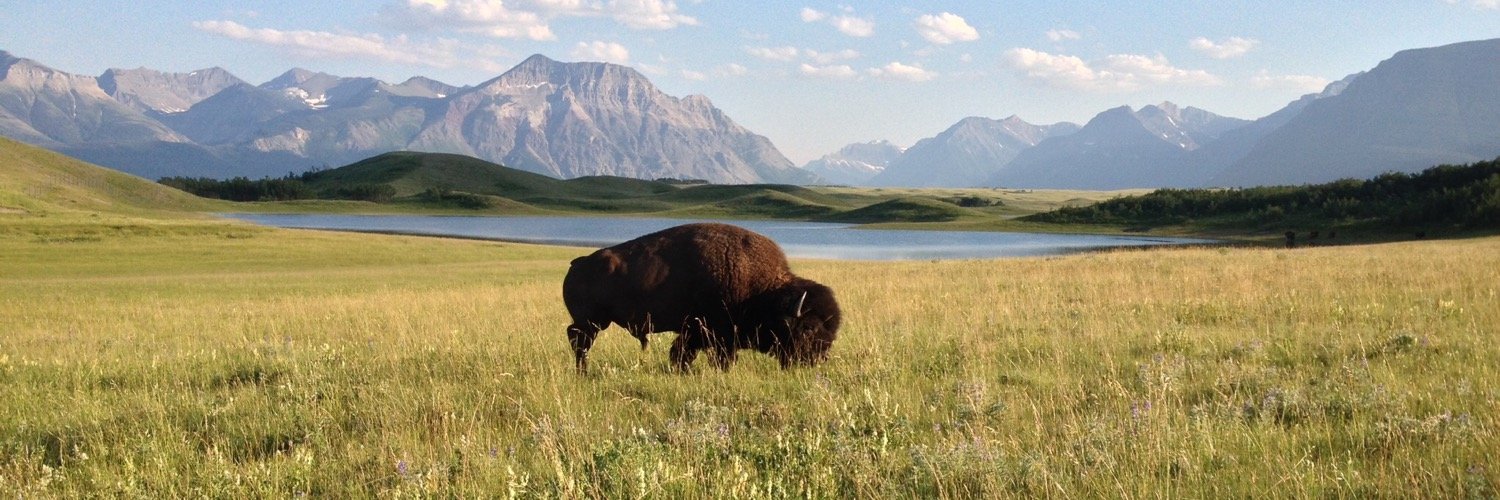 Greg Chernack, CEO, Four Seasons Total Landscaping banner