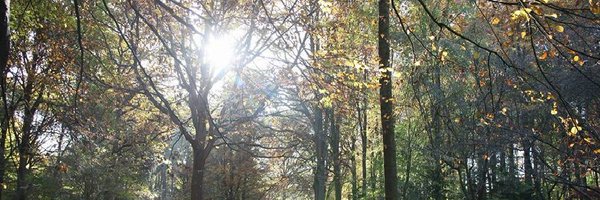 JillMisson Profile Banner