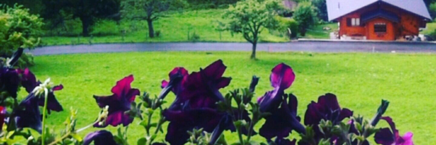 ahmadsoud65's profile banner image