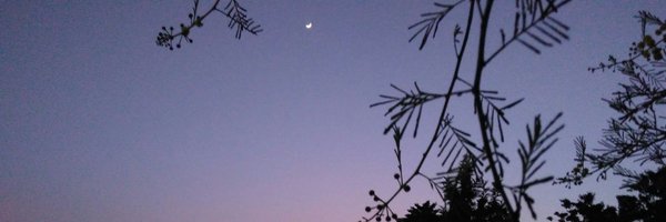 SrikantPVerma Profile Banner