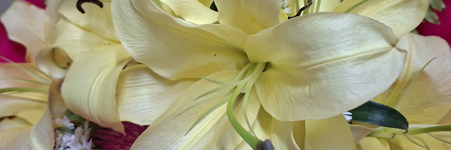 andreacanto_10's profile banner image