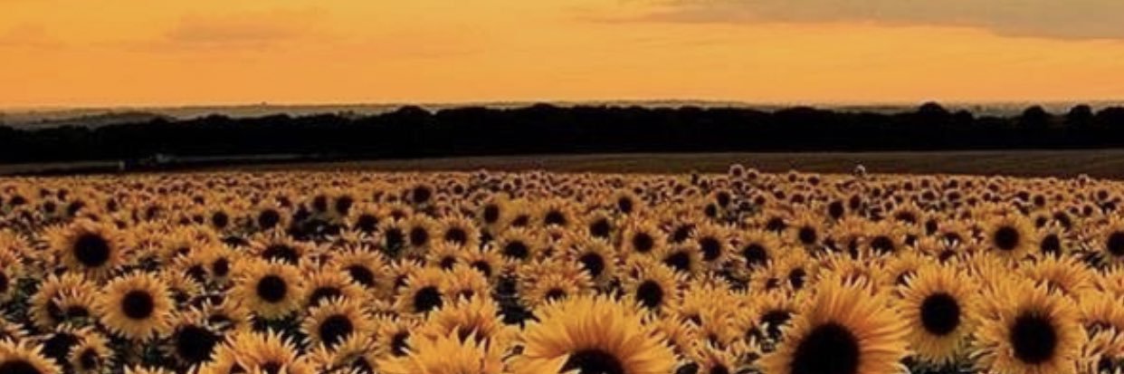 cdsm__'s profile banner image