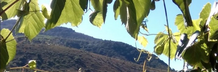 crequeni's profile banner image