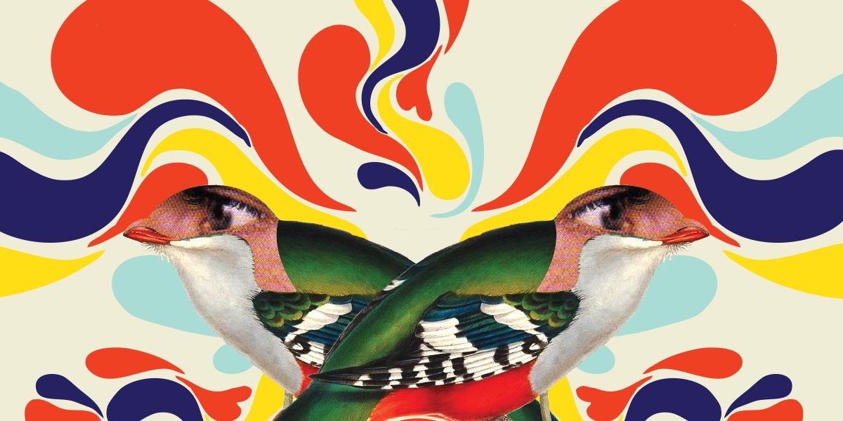tigerhighband's profile banner image