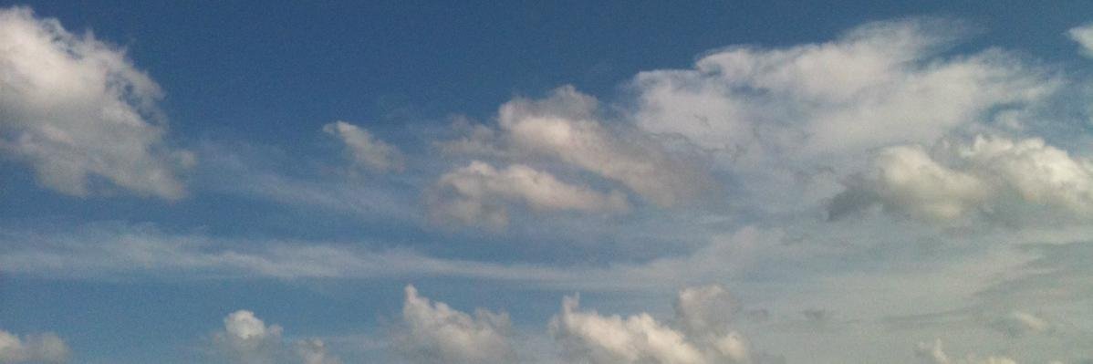 Ruth_Welters's profile banner image