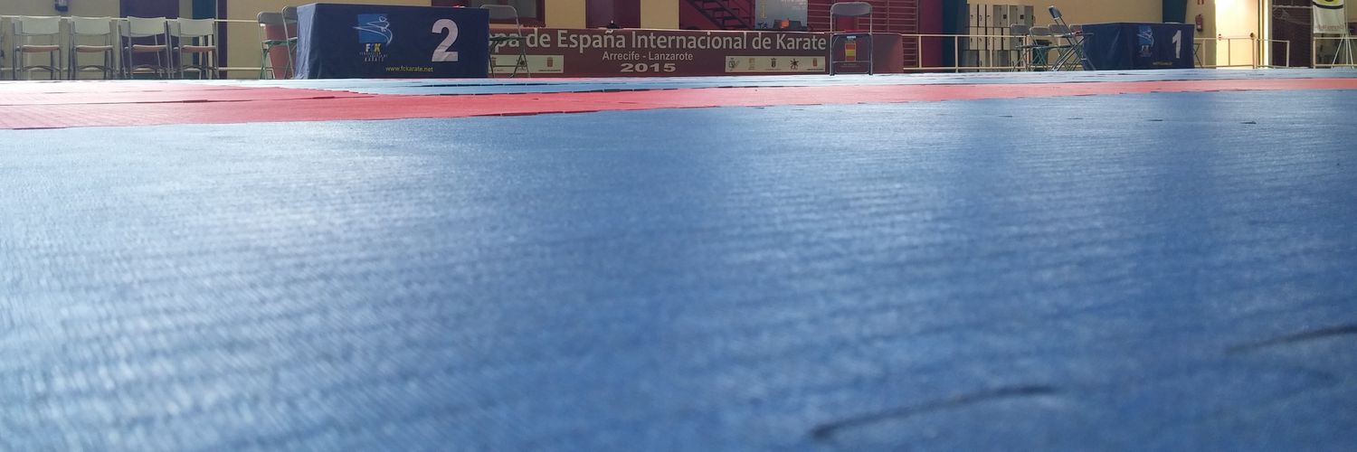 Fede Canaria Karate banner