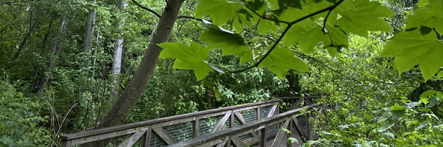 Healthcare is a human right banner