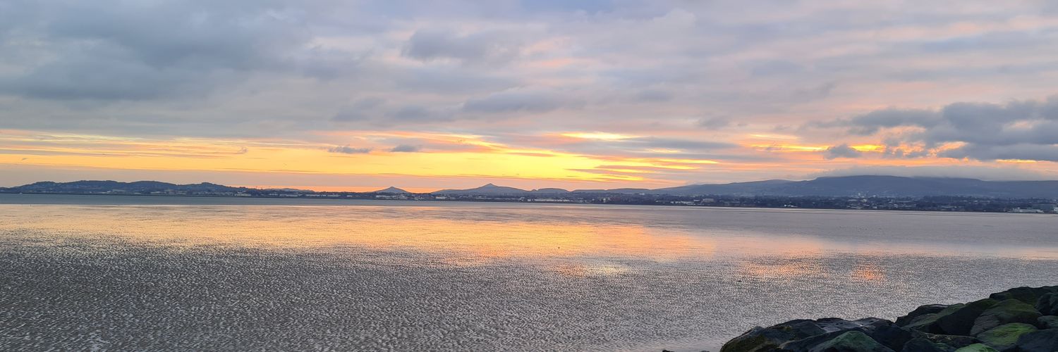 Lisa Carey 🌊🍷📚 🇮🇪 🎧💙💙💓 banner