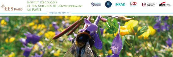 iEESParis Profile Banner