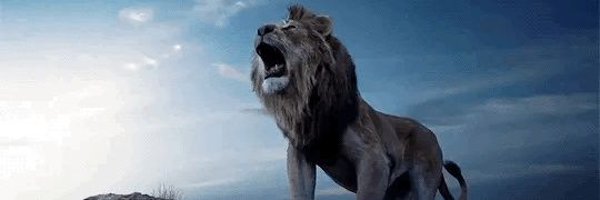 erndirect Profile Banner