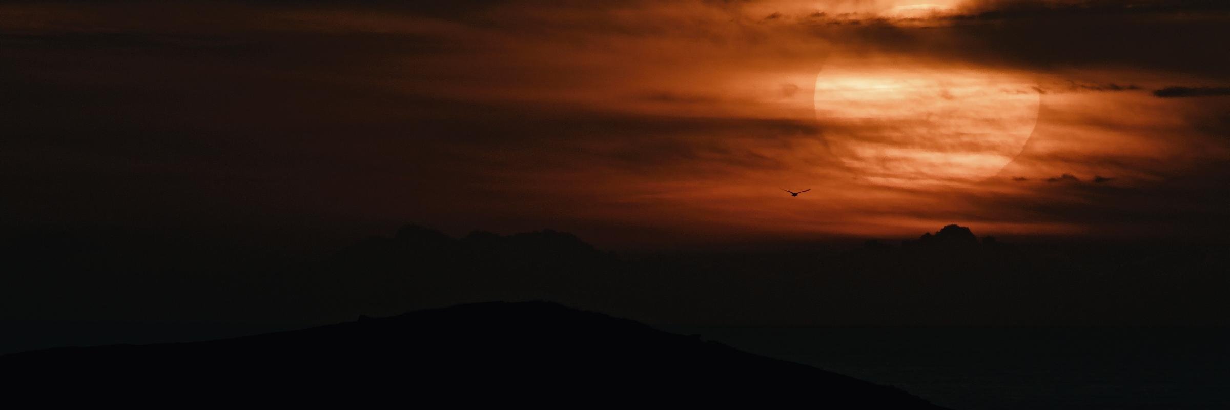 loriencreative's profile banner image