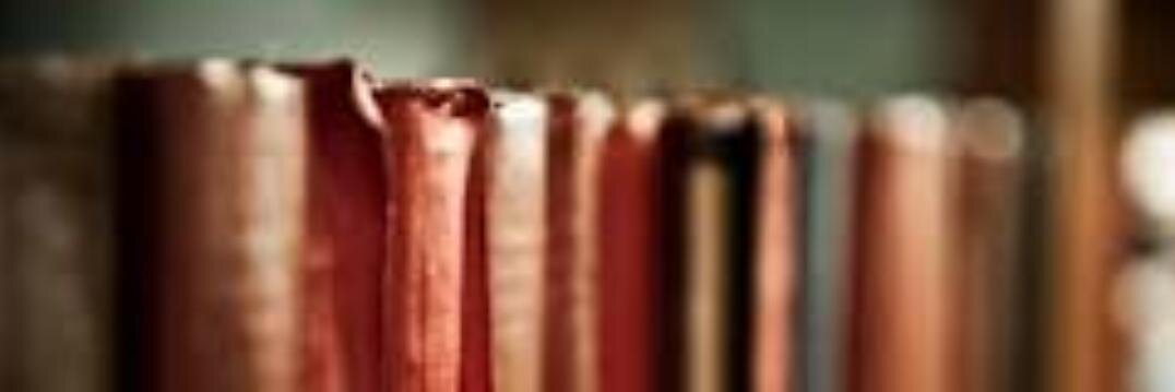 linaracani's profile banner image