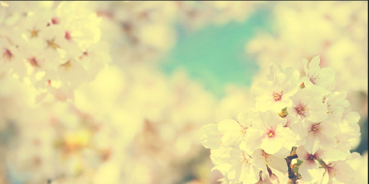 kourtneykoonce's profile banner image