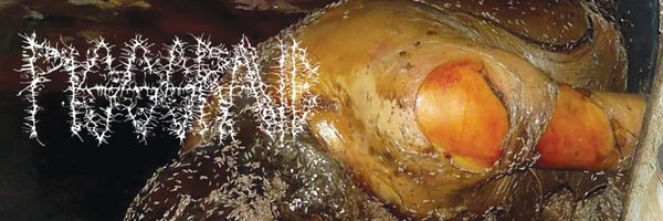 profoundlore Profile Banner